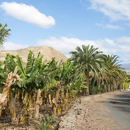 Casita 3, Caserio De Guaza Летний дом Эль-Пальмар