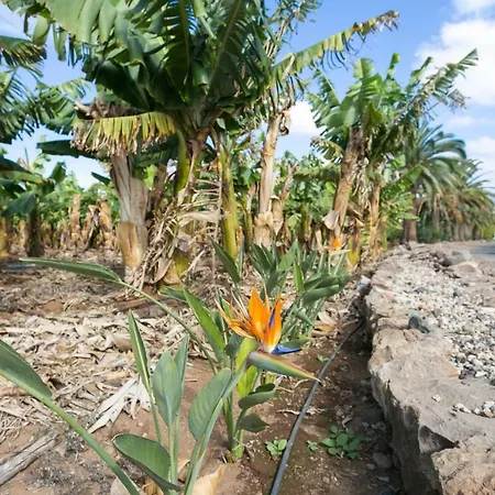 Casita 3, Caserio De Guaza Летний дом *