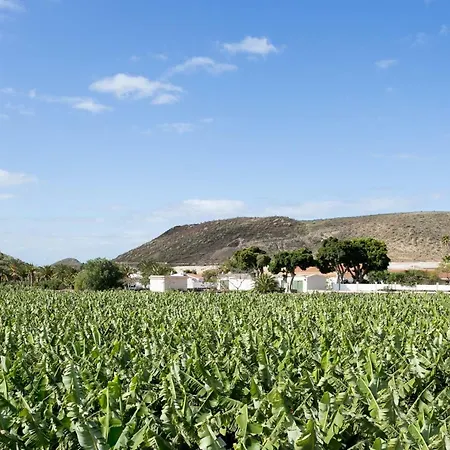 Casita 3, Caserio De Guaza Летний дом Эль-Пальмар