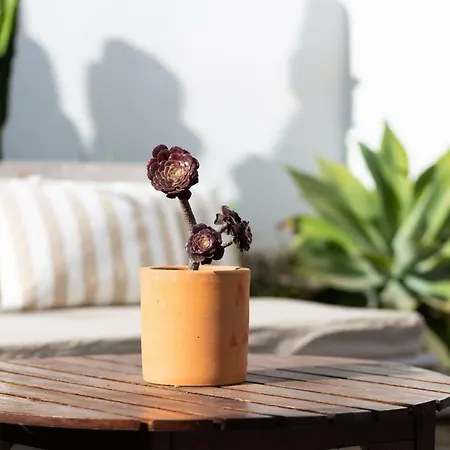 Летний дом Casita 3, Caserio De Guaza Эль-Пальмар